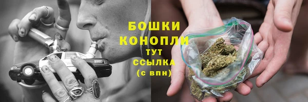 стаф Белоозёрский