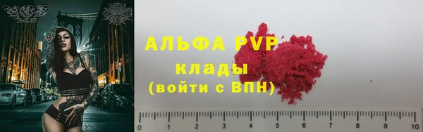 стаф Белоозёрский