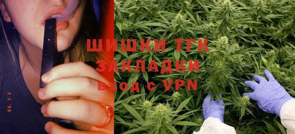 стаф Белоозёрский