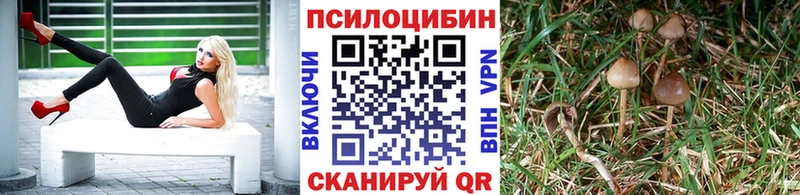 купить наркотик  Мариинский Посад  OMG зеркало  Псилоцибиновые грибы ЛСД 